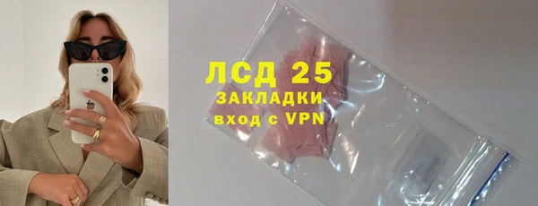 крисы Инта