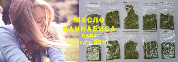 крисы Инта