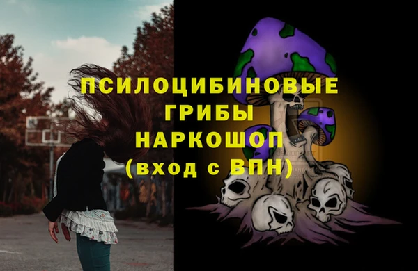 ALPHA PVP Иннополис