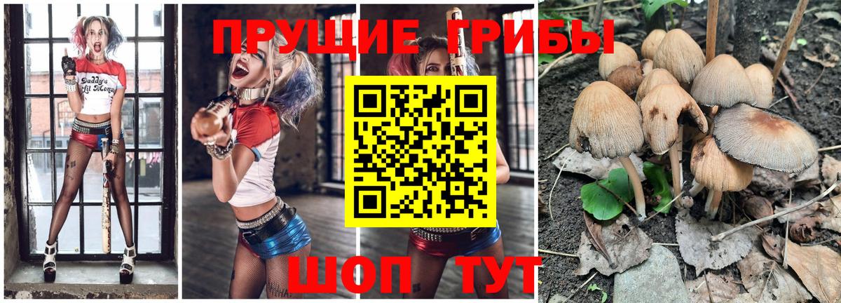 Галлюциногенные грибы MAGIC MUSHROOMS Корсаков