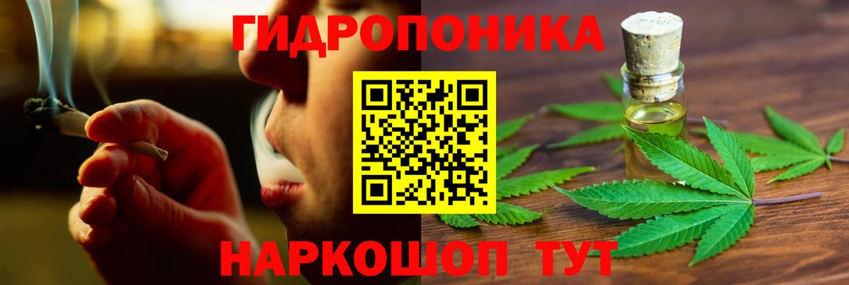 Конопля индика  Канабис VHQ  Вход с VPN  Корсаков  МАРИХУАНА планчик  Конопля OG Kush 